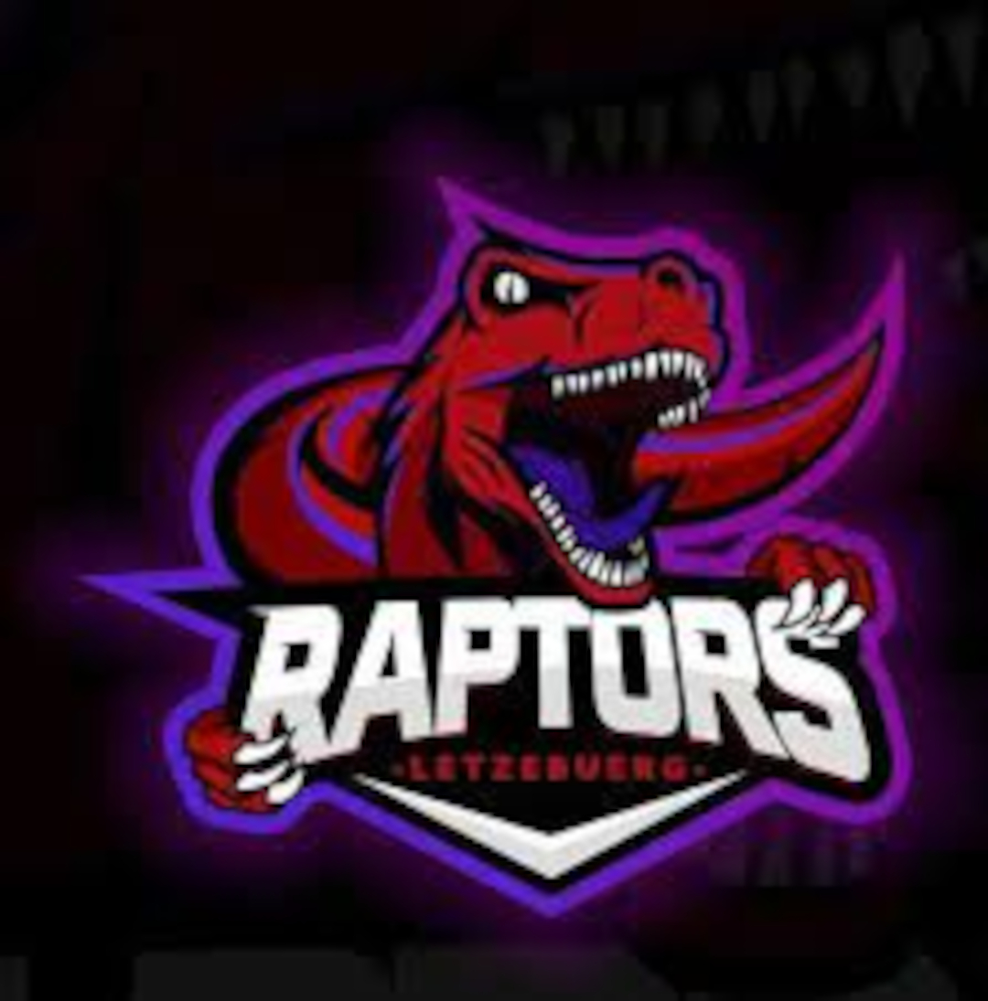 Bild von dem Logo der Raptors